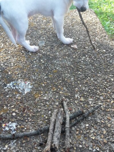 Desloge Park Gazebo - Desloge, MO