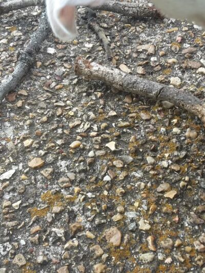 Desloge Park Gazebo - Desloge, MO