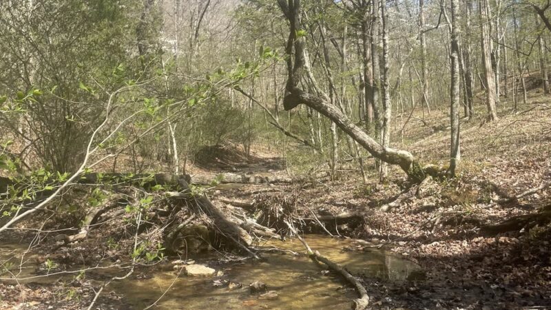 Pike Run Trailhead - Desloge, MO