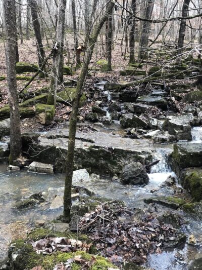 Swimming Deer Trailhead - Desloge, MO
