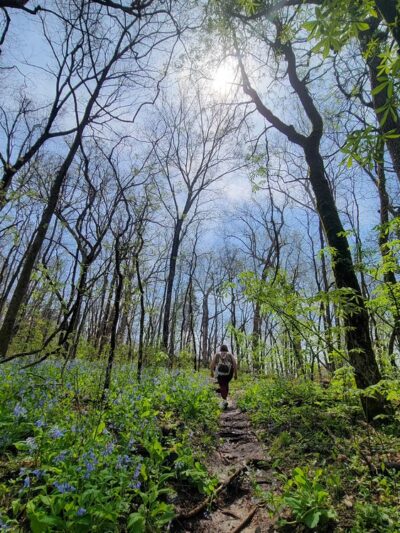 Swimming Deer Trailhead - Desloge, MO