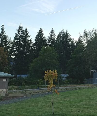Detroit City Park - Detroit, OR