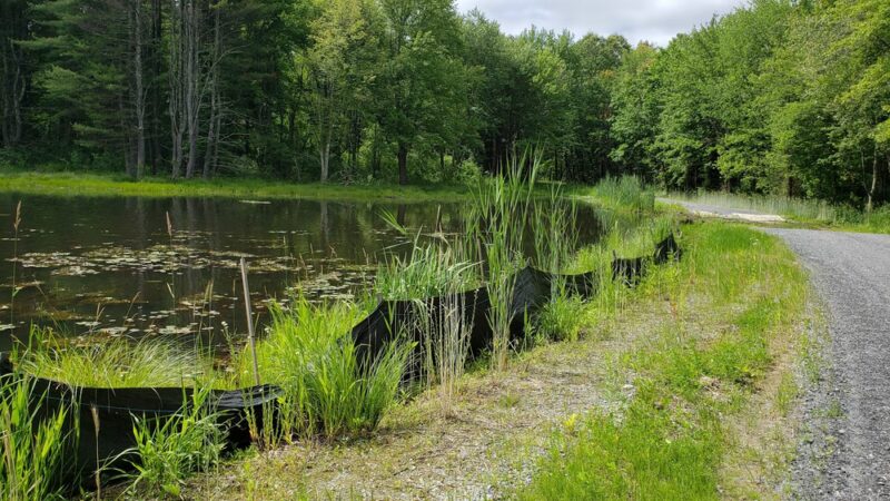 Oxbow Wildlife Refuge - Devens, MA