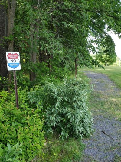Oxbow Wildlife Refuge - Devens, MA
