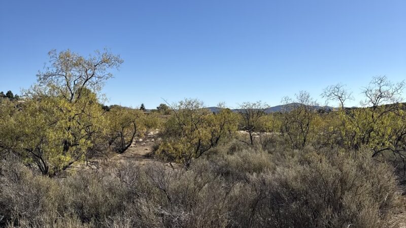 Country Club Dog Park - Dewey, AZ