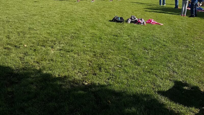 Quailwood Park - Dewey, AZ