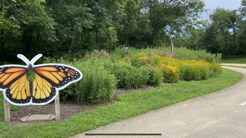 Westbrook Park - DeWitt, IA