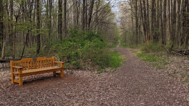 Padgett Dog Park - DeWitt, MI