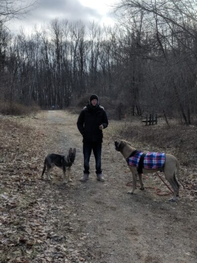 Padgett Dog Park - DeWitt, MI