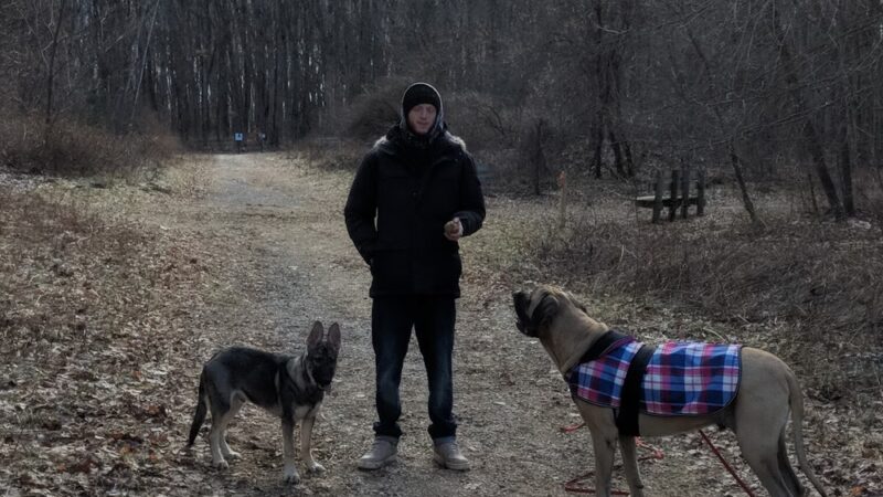 Padgett Dog Park - DeWitt, MI