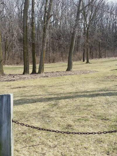 Padgett Dog Park - DeWitt, MI