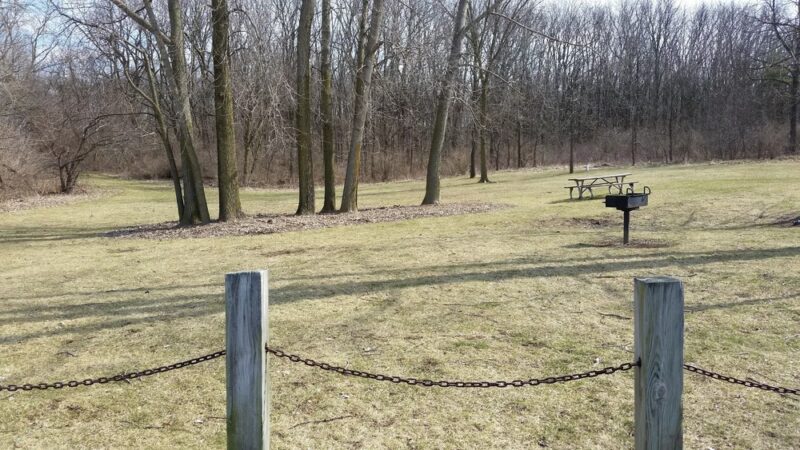 Padgett Dog Park - DeWitt, MI