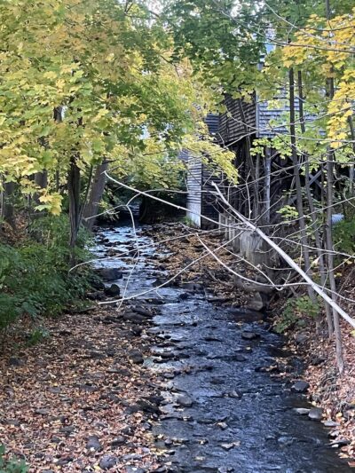 Wayside Park - Dexter, ME