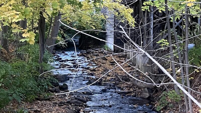 Wayside Park - Dexter, ME