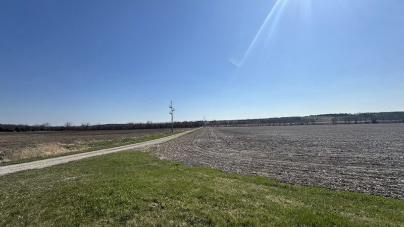 Mapleleaf Pathway - Diagonal, IA