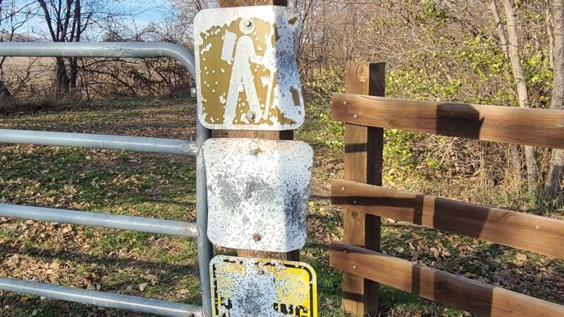 Mapleleaf Pathway - Diagonal, IA