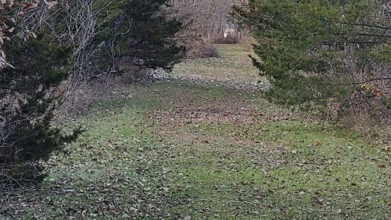 Mapleleaf Pathway - Diagonal, IA