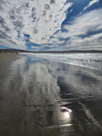 Dillon Beach Parking Lot - Dillon Beach, CA