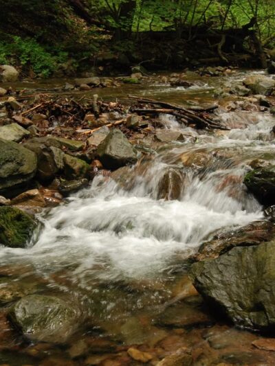 Pocono Environmental Education Center - Dingmans Ferry, PA