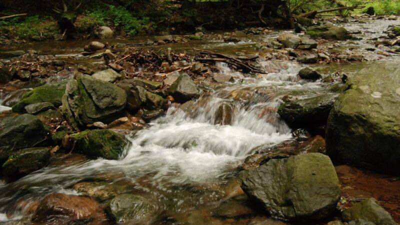 Pocono Environmental Education Center - Dingmans Ferry, PA