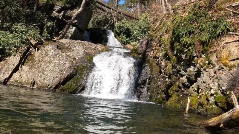 Pocono Environmental Education Center - Dingmans Ferry, PA
