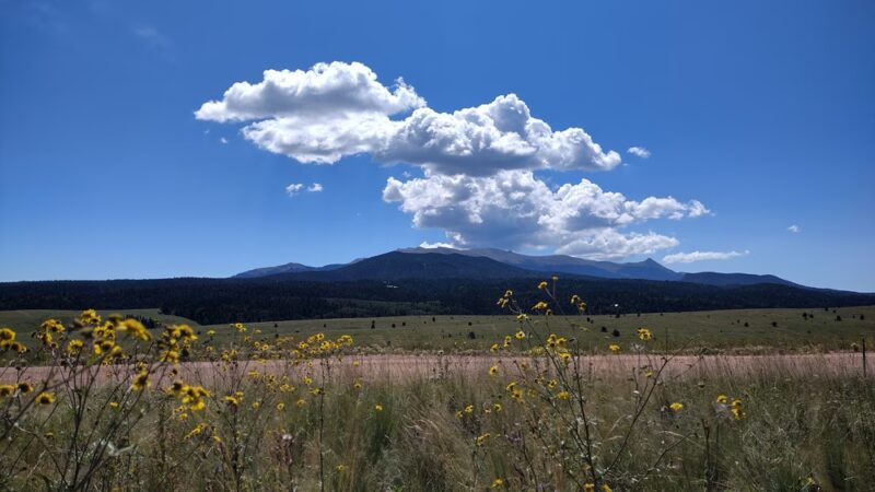 Hayden Divide Park - Divide, CO
