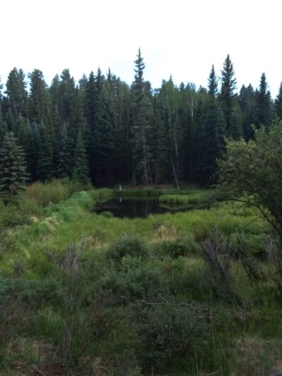 Phantom Creek Trailhead - Divide, CO