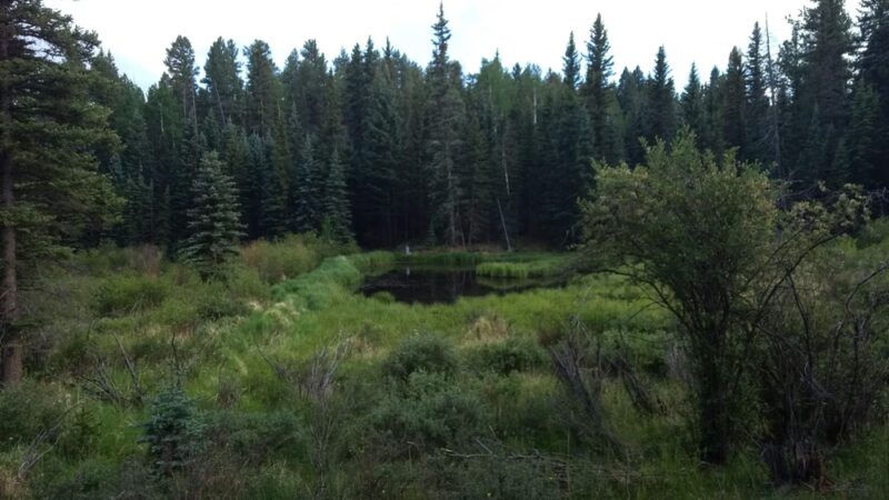 Phantom Creek Trailhead - Divide, CO