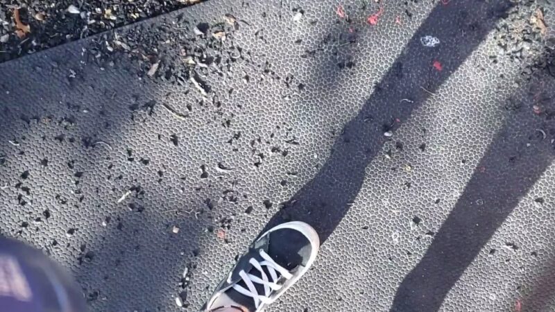 Lions club park - Dixon, MO