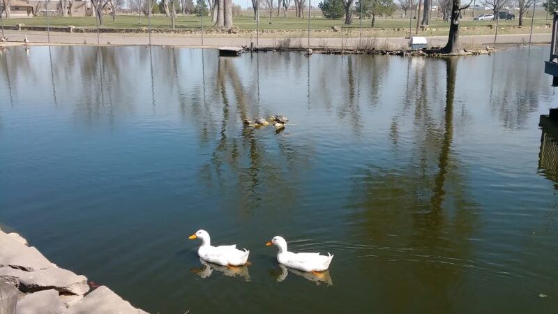 Wright Park - Dodge City, KS