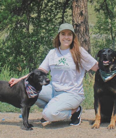 Dog Friendly Flagstaff - ,