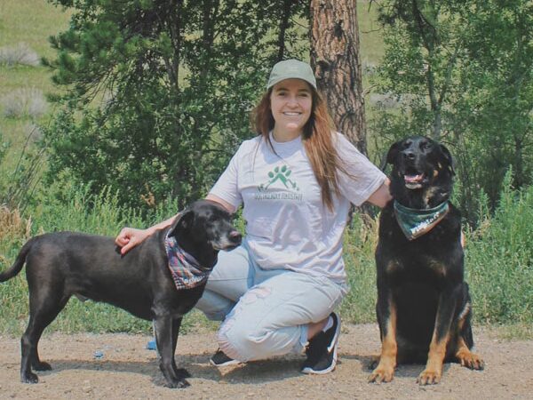 Dog Friendly Flagstaff - ,
