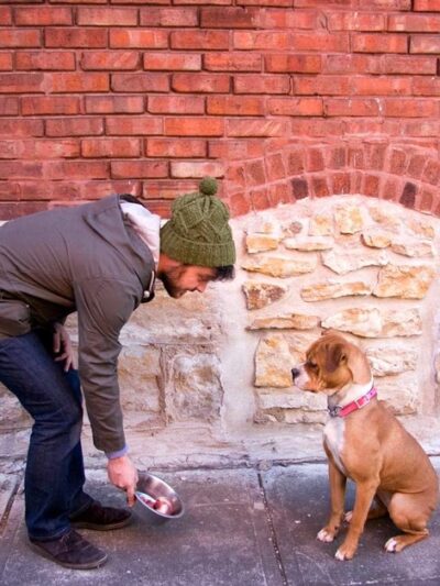 Dogs Listen To Us - ,