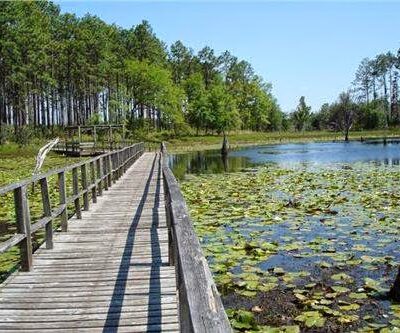 Seminole State Park - Donalsonville, GA