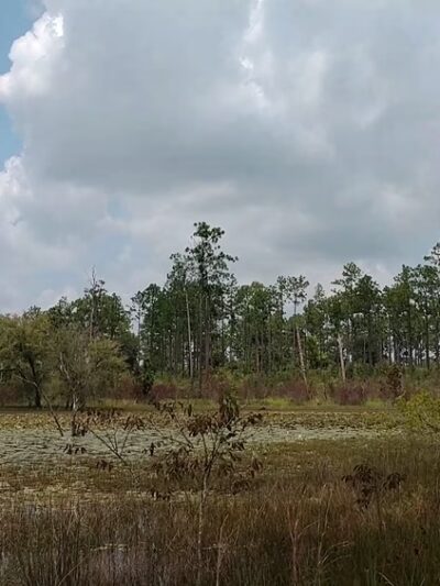 Seminole State Park - Donalsonville, GA