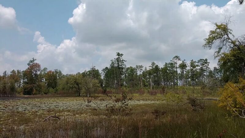 Seminole State Park - Donalsonville, GA