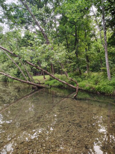 Buffalo Creek Campground - Doniphan, MO