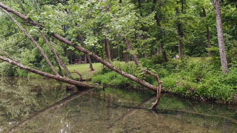 Buffalo Creek Campground - Doniphan, MO