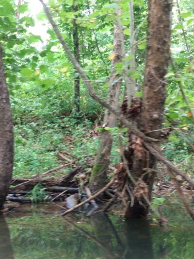 Buffalo Creek Campground - Doniphan, MO