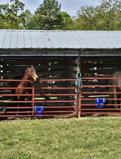 Fourche Creek RV Park and Riding Trails - Doniphan, MO
