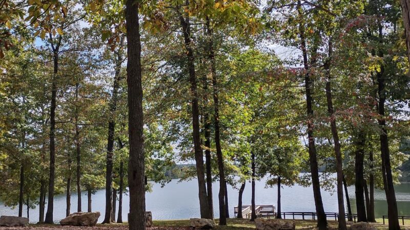 Fourche Lake Recreation Area, Mark Twain National Forest - Doniphan, MO