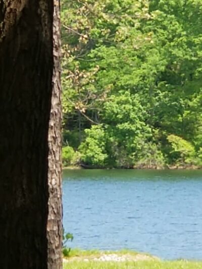 Fourche Lake Recreation Area, Mark Twain National Forest - Doniphan, MO