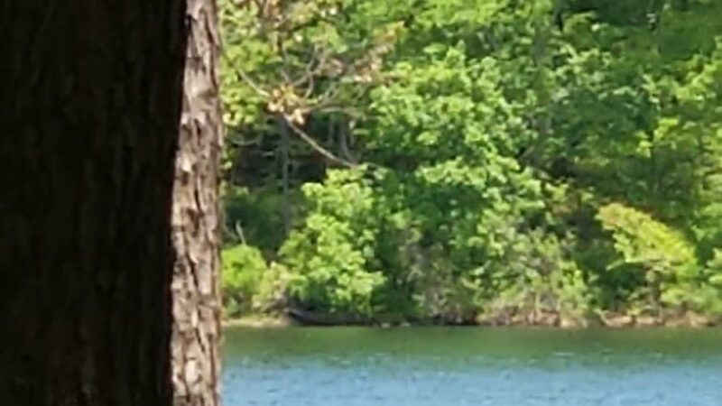 Fourche Lake Recreation Area, Mark Twain National Forest - Doniphan, MO
