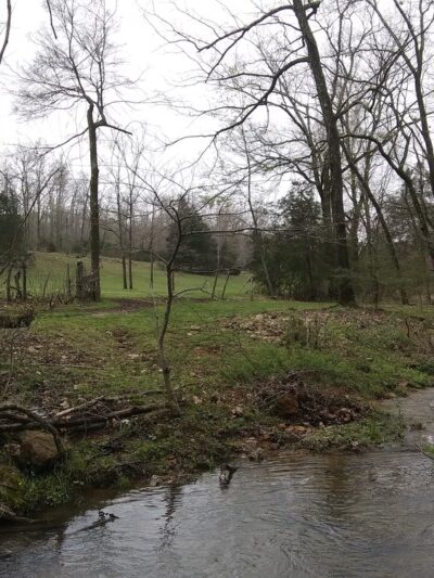 Robert's Redneck Retreat - Doniphan, MO