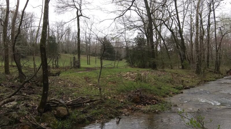 Robert's Redneck Retreat - Doniphan, MO