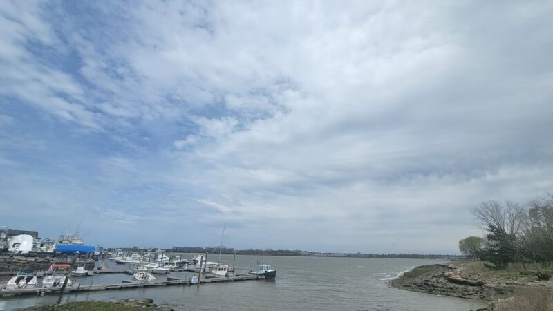 Dorchester Shores Reservation - Dorchester, MA