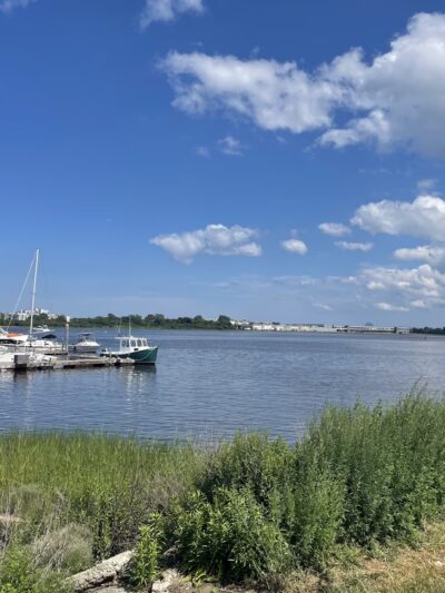 Dorchester Shores Reservation - Dorchester, MA
