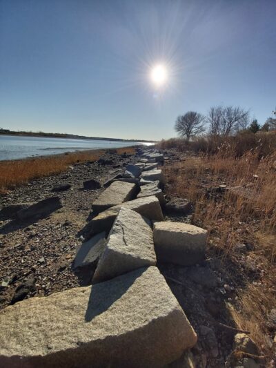 Dorchester Shores Reservation - Dorchester, MA