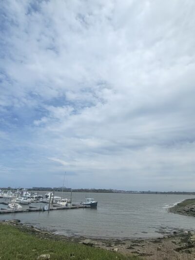 Dorchester Shores Reservation - Dorchester, MA