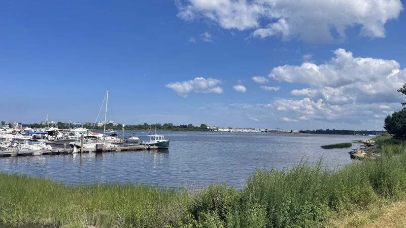 Dorchester Shores Reservation - Dorchester, MA